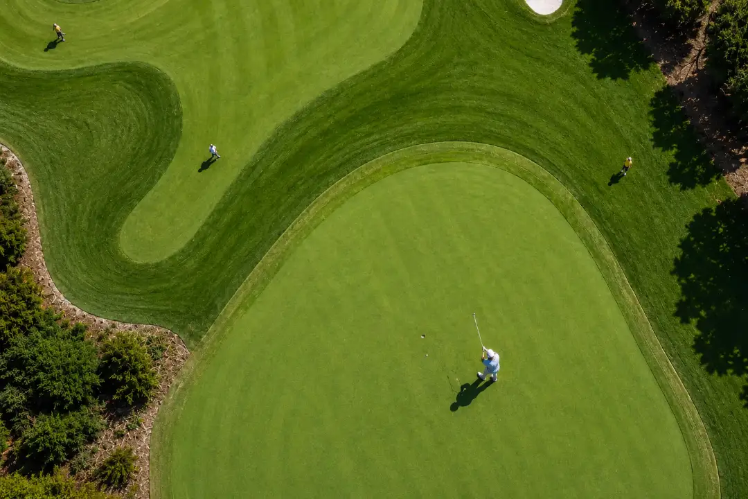 Golf Turf